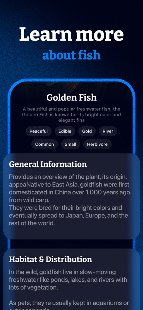 Fish Identifier & Scanner App - Education App | MWM