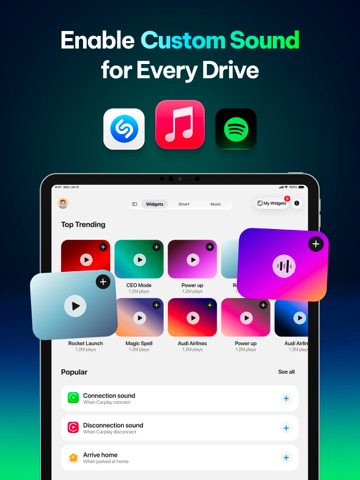 CARFACE Car Widgets & Lyrics iPad screenshot 4