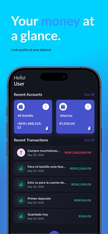 Sylph: Money Mate Screenshot 3 of 5