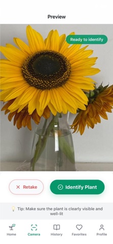 Plant Scan - AI Identifier screenshot