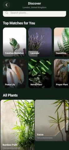 PlantSaga screenshot