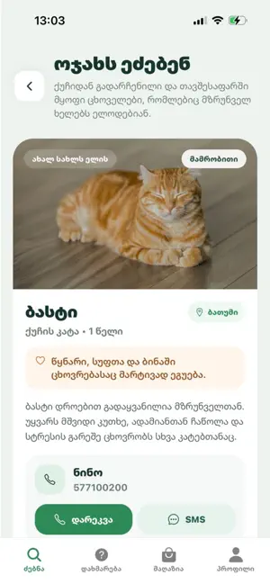 Georgian Pets screenshot 4