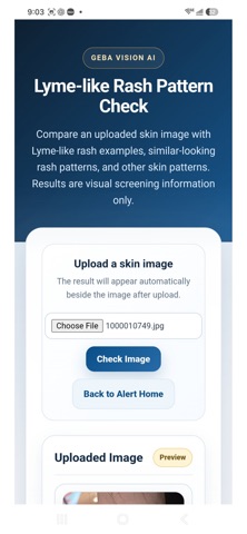 Lyme AI-ert, kuvakaappaus 5