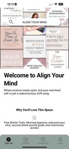 Align Your Mind screenshot