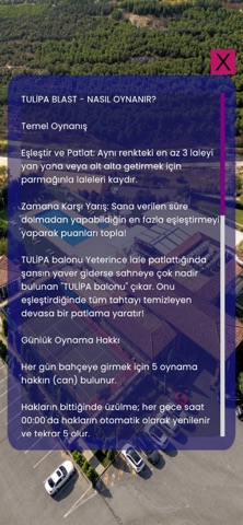 Tulipa Games Screenshot 5 of 5
