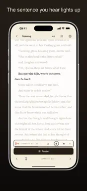 OpenRead: Offline Read Aloud screenshot 3