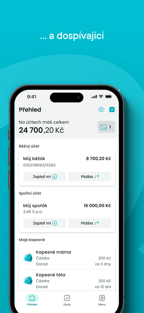 Partners screenshot 7