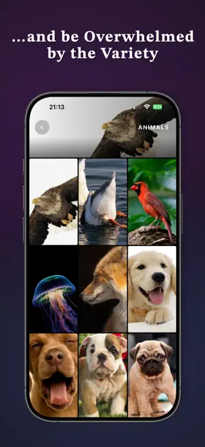 Wallpaper Society screenshot 4