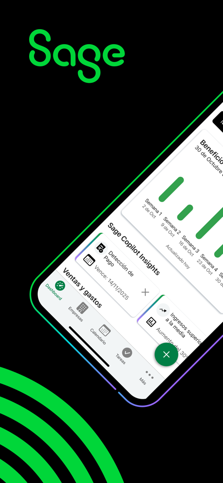 Sage 50 screenshot 1