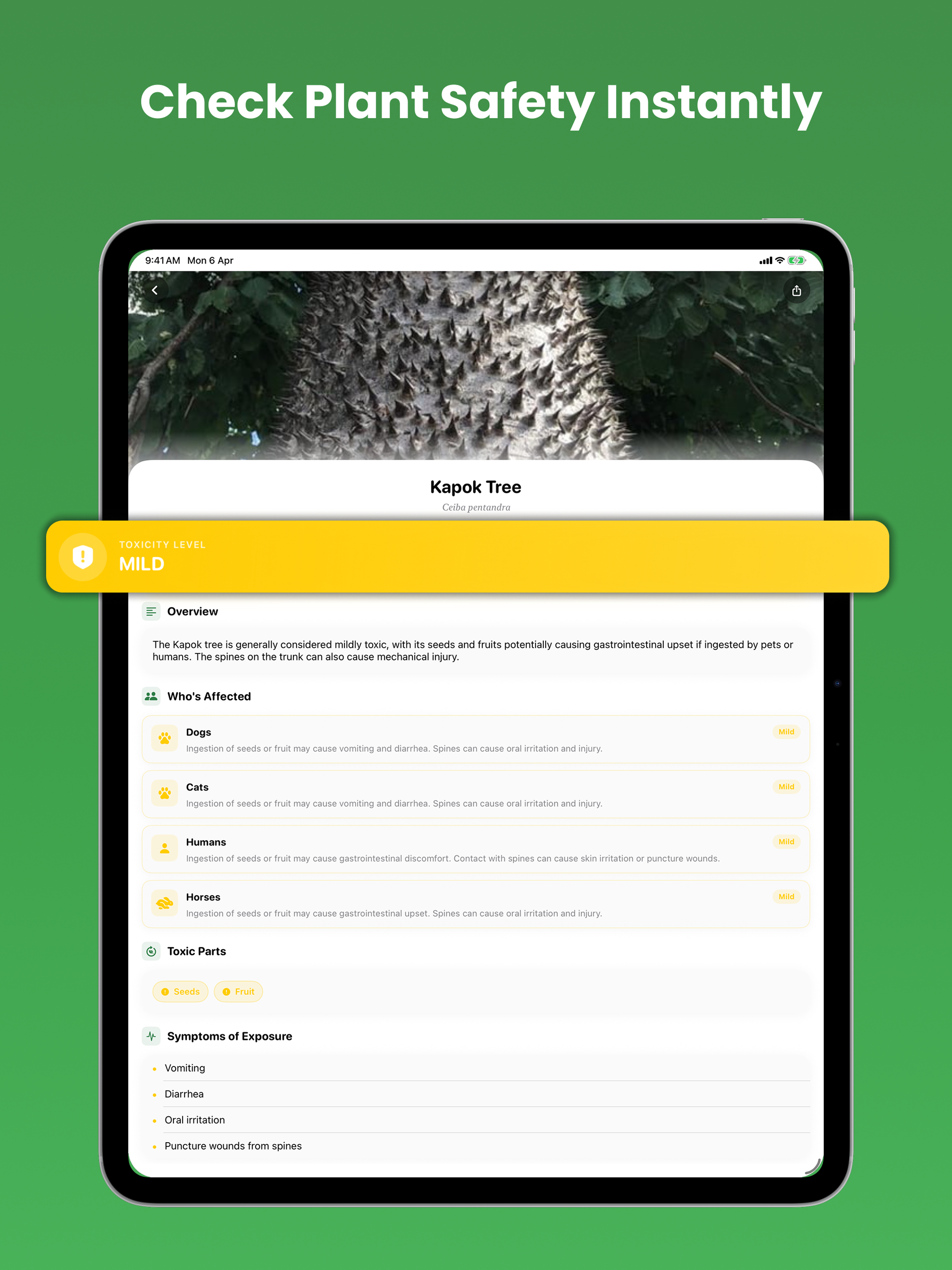 https://is1-ssl.mzstatic.com/image/thumb/PurpleSource221/v4/9e/85/83/9e858312-6121-ec9b-9d1d-74bcddd3c7eb/New_Tree_iPad__5.png/2048x2732.png