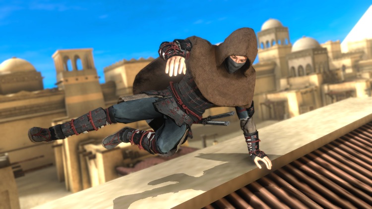 Medieval Shadow Archer Fight