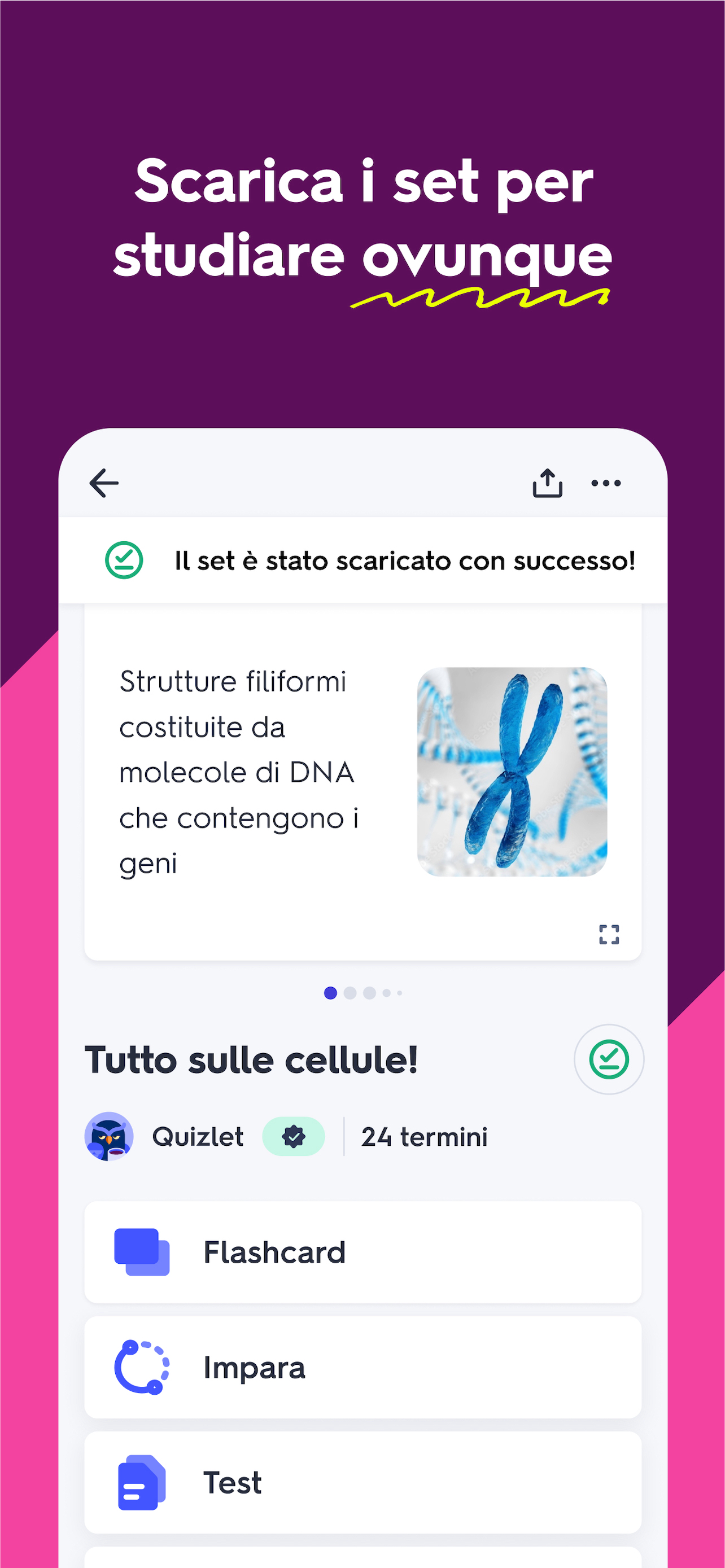 Quizlet: impara con flashcard