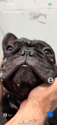 Loopsy - Short videos app Screenshot 5 of 8
