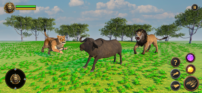 Lion Games Wild Animal Life