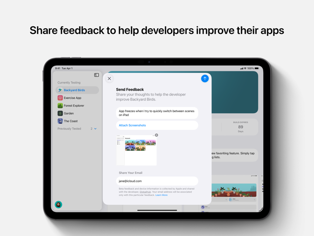 TestFlight Screenshot