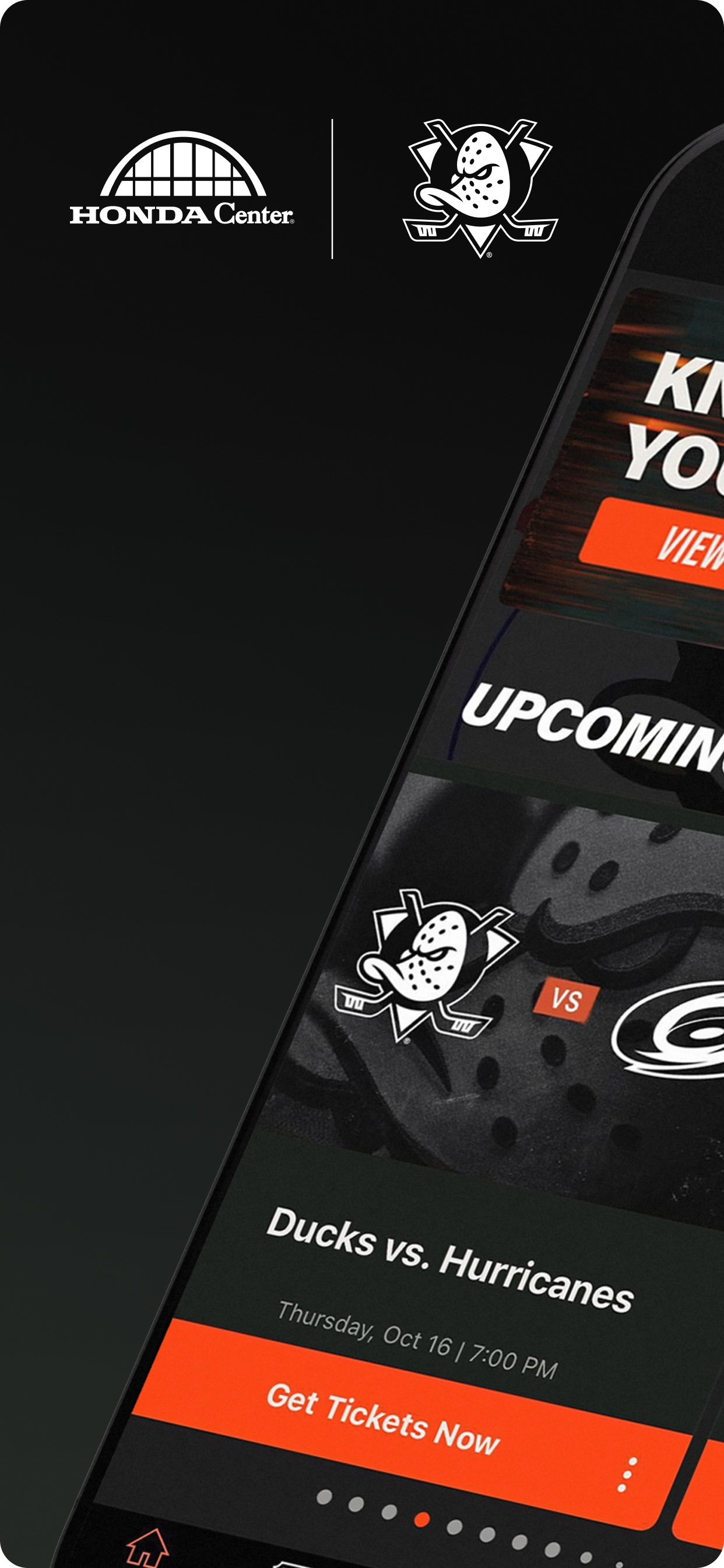 Honda Center + Ducks