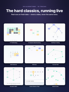 Algorena: Learn Algorithms screenshot 11