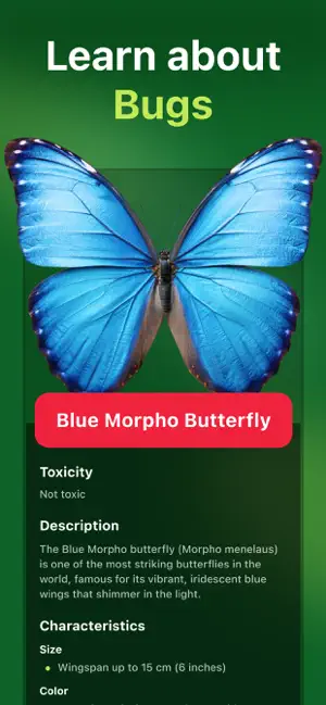 Bug+ Identifier . screenshot 2