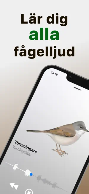 Nordiska fågelljud iPhone screenshot 1