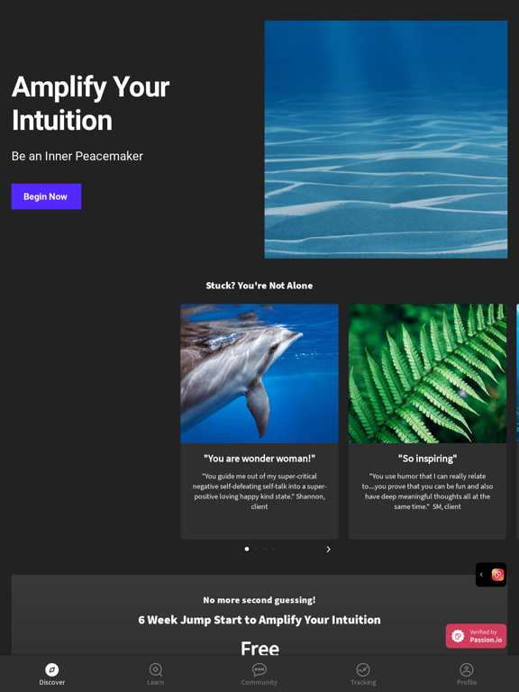 Screenshot #4 pour Amplify Your Intuition