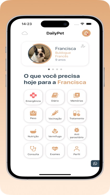 DailyPet: Cachorro e Gato