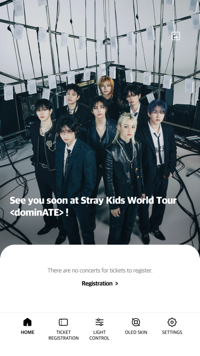 Stray Kids Light Stick V2 Screenshot