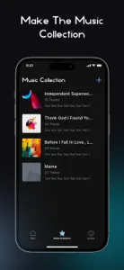 RaMusi: Offline Music Player screenshot #5 for iPhone