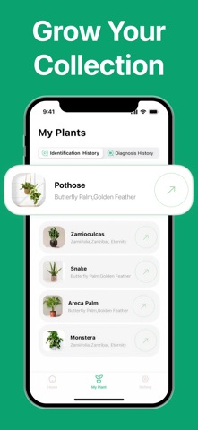 Tree ID - Identify & Diagnose Screenshot 4 of 5