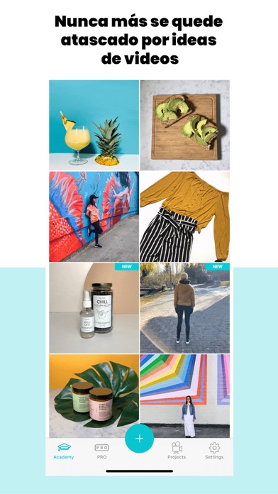 Life Lapse Stop Motion Maker