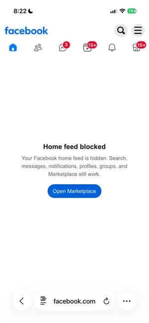 YouTube, FB, LinkedIn Blocker screenshot 3