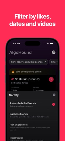 AlgoHound screenshot