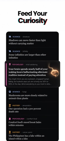 Stacky: Facts, Stories & Quiz screenshot