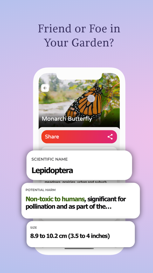 #2. InsectID Identify Bugs&Spiders (iOS) 由: Younes Oubari