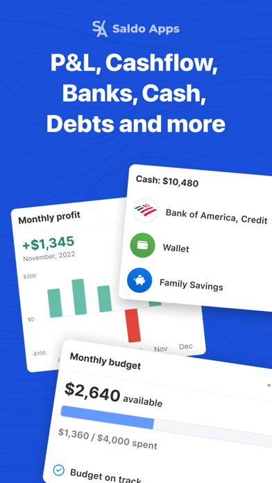 Saldo: Finance Management App Screenshot