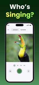 Bird Identifier - Bird Sounds screenshot