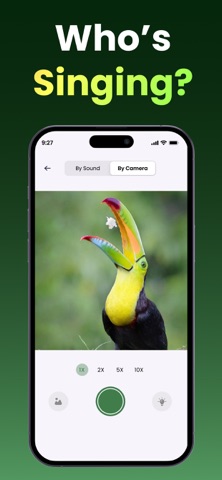 Bird Identifier - Bird Sounds Screenshot 2 of 6