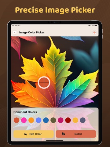 Color Grab Detection iPad screenshot