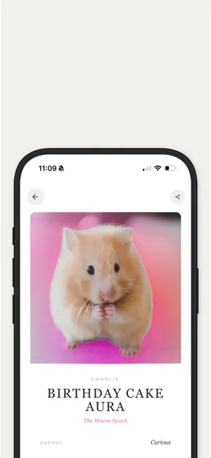 Pawra: Pet Astrology screenshot 2