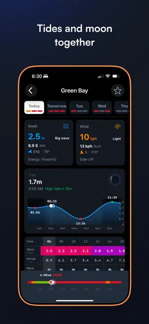 SwellLab screenshot 2