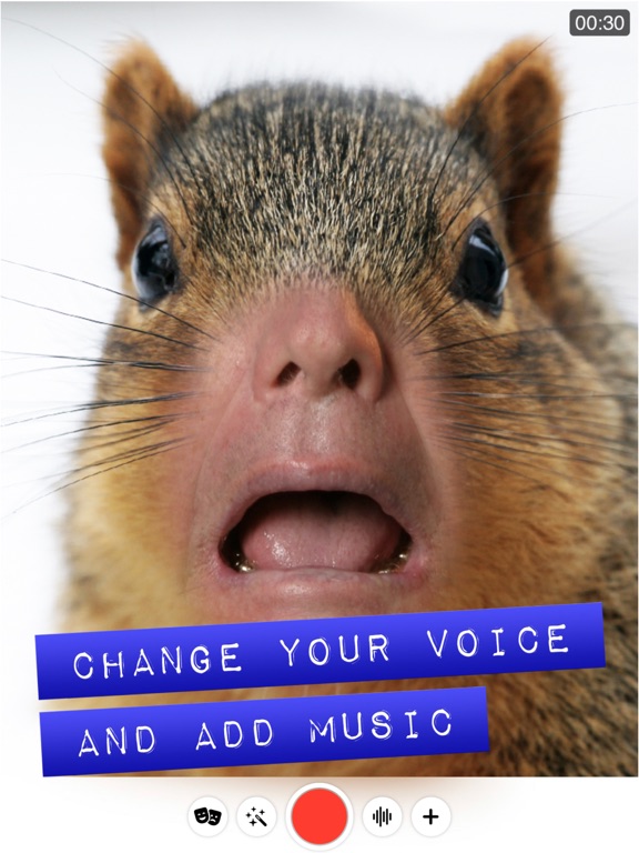 Screenshot #4 pour Réalisateur de clips drôles