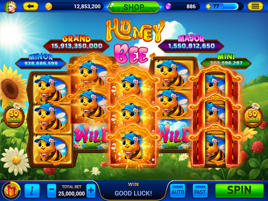 Screenshot #4 pour Golden City Casino