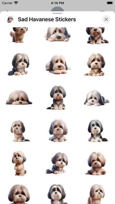 Screenshot #2 pour Sad Havanese Stickers