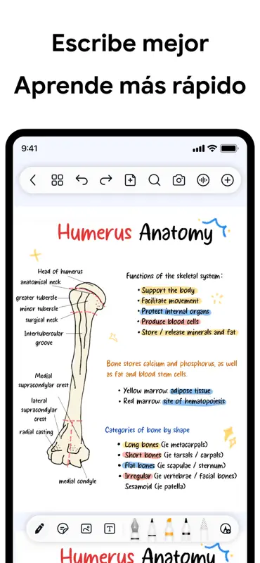 Freenotes®: Bloc de Notas, PDF screenshot 1 of 6