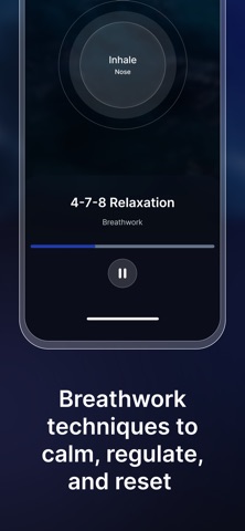 Settle: Nervous System Reset Screenshot 7 of 9