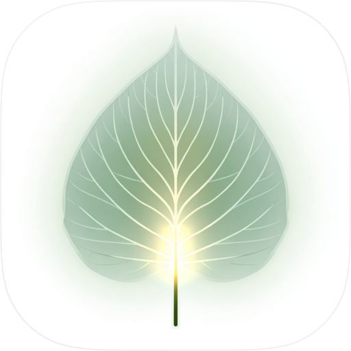 BuddhaUR: Buddhist Meditation