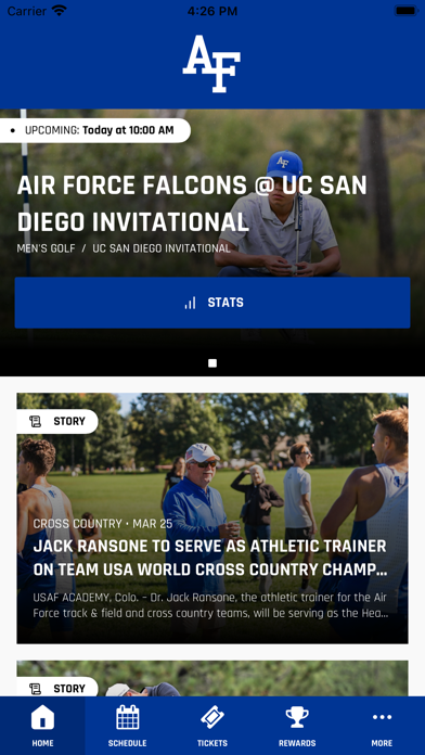 Air Force Falcons Screenshot