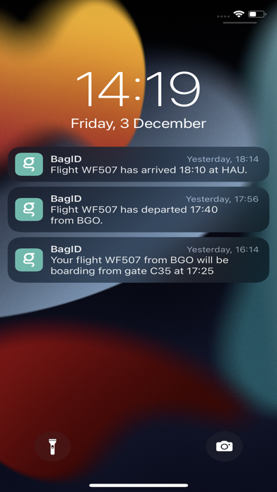 BagID Screenshot