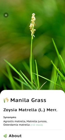 Grass identifier app Screenshot 4 of 8