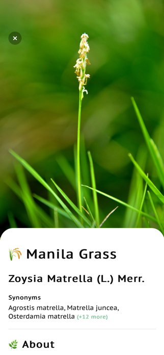 Grass identifier app Screenshot 4 of 8