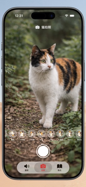 【图】猫言指北 – 吸引猫 叫猫,呼唤猫(截图2) 【图】猫言指北 – 吸引猫 叫猫,呼唤猫(截图2)